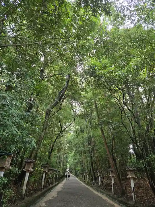 大神神社(奈良県)