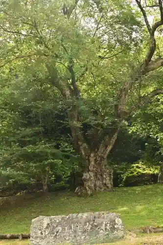 御所神社(徳島県)