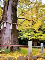 赤坂氷川神社の御朱印