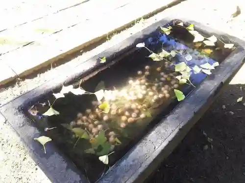 柴又八幡神社の手水