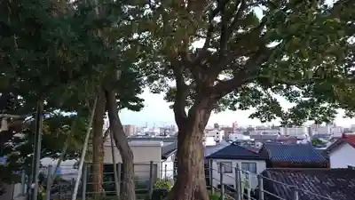 住吉神社の自然