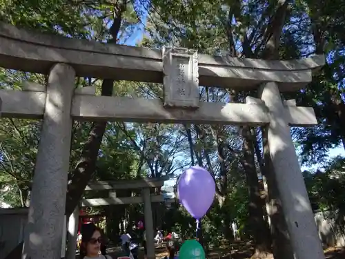 自由が丘熊野神社の鳥居