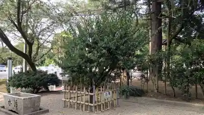 高岡市護国神社の自然