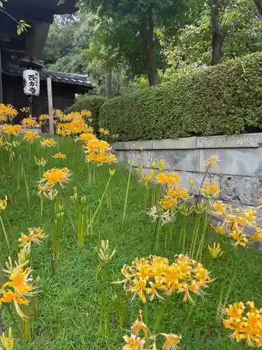 横浜　西方寺の自然