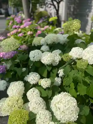 白山神社(東京都)