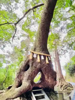 笠森寺(千葉県)