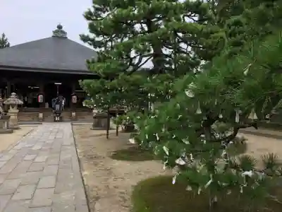 智恩寺の本殿・本堂