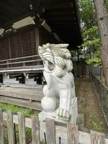 篠崎浅間神社の狛犬
