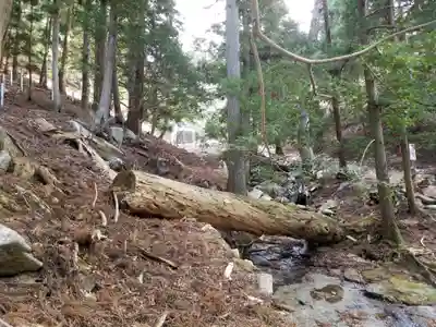 金華山黄金山神社の周辺