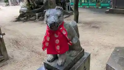 荒熊白髭稲荷神社の狛犬
