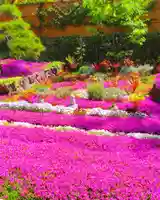 寿量山 速成寺の自然