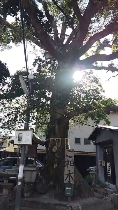 櫟谷七野神社(京都府)