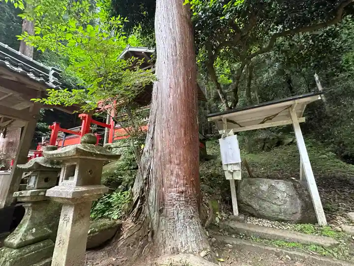 戸隠神社(奈良県)