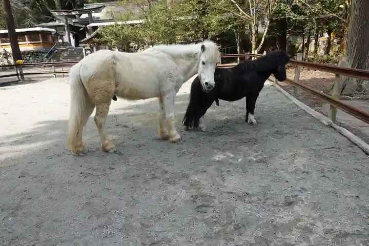 丹生川上神社(下社)の動物