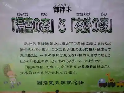 宇美八幡宮の歴史