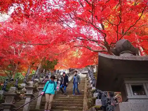 大山寺の自然