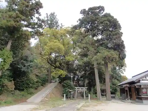 住吉神社の自然