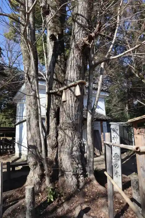 梨木神社(京都府)