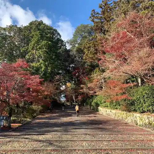 光明寺（粟生光明寺）(京都府)