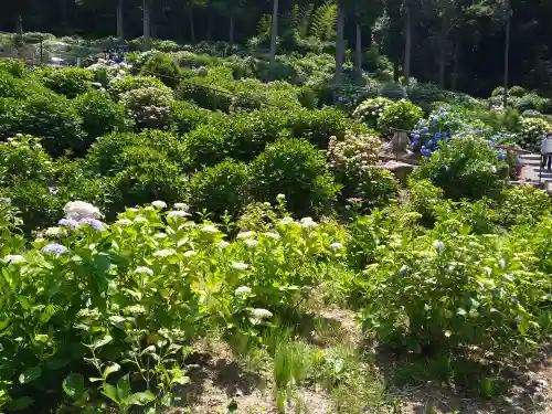 千光寺(福岡県)