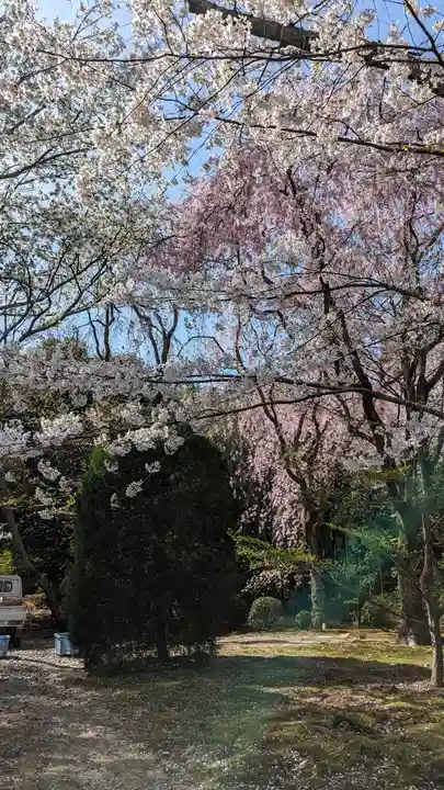 龍安寺(京都府)