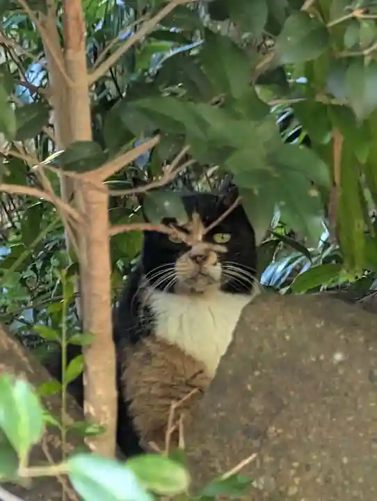 春日神社(神奈川県)