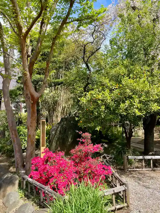 本行寺(東京都)