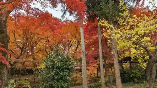 真正極楽寺（真如堂）(京都府)