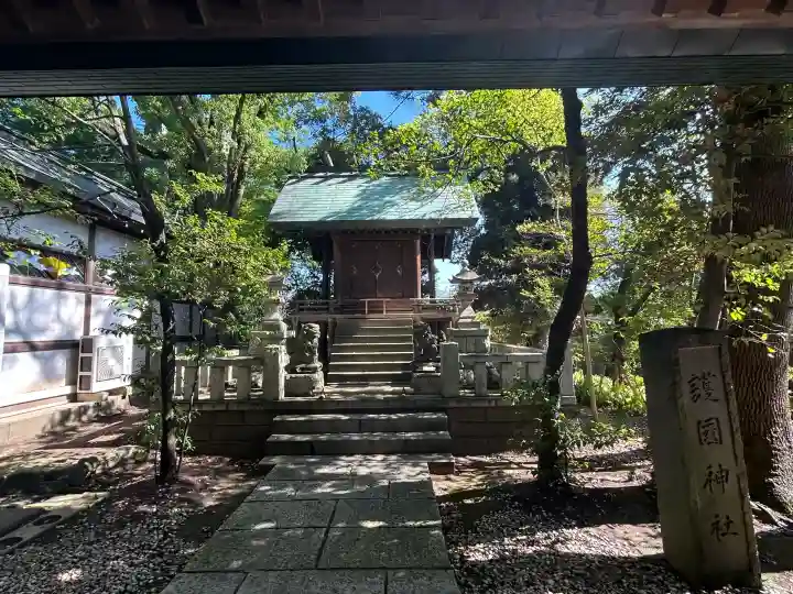 川越氷川神社(埼玉県)