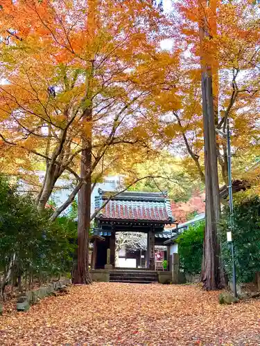 吸湖山　青岸寺の山門