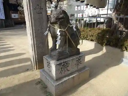 生野八坂神社の狛犬