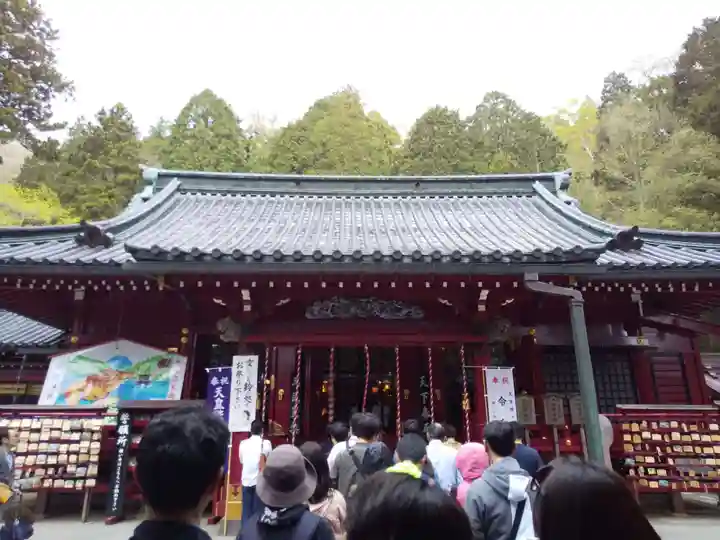 箱根神社の本殿・本堂