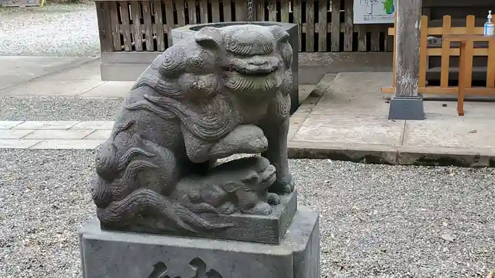 縣神社の狛犬