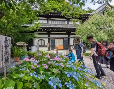 長谷寺(神奈川県)