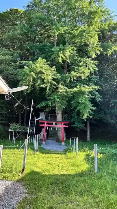 小板端光稲荷(北海道)