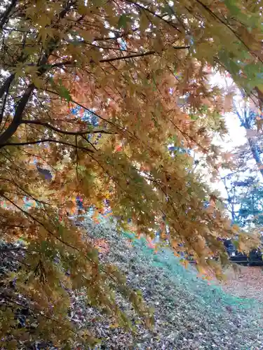 大仰寺の景色