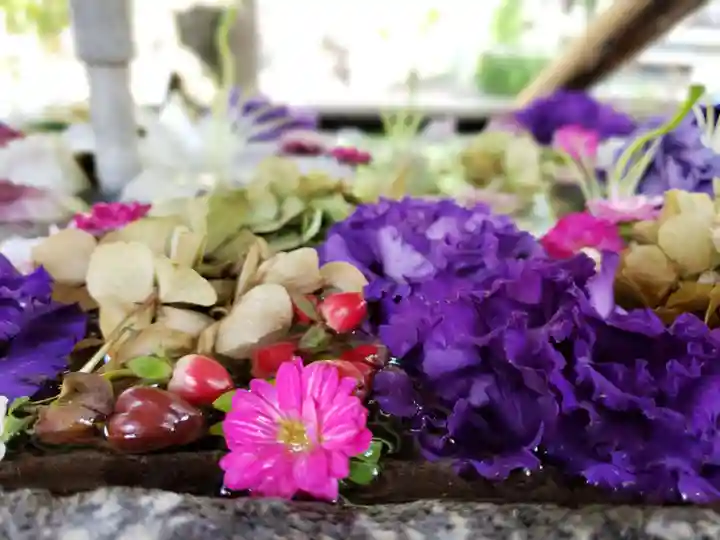 鳩森八幡神社の手水舎