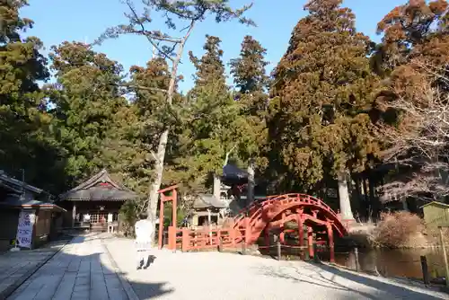 金剛證寺の庭園