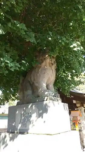 前橋八幡宮の狛犬