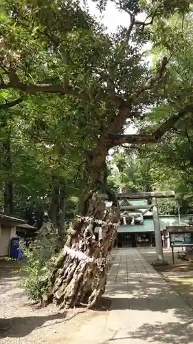 一言主神社の建物その他