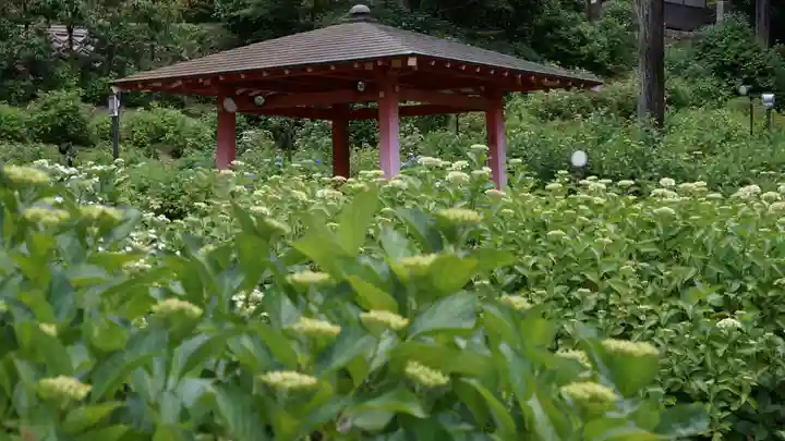 三室戸寺(京都府)