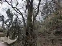 諏訪神社の{uncategorized: "未分類", other: "その他", undefined: "問題あり", building: "その他建物", grave: "お墓", sacred_gate: "鳥居", guardian: "狛犬", statue: "像", buddha: "仏像", history: "歴史", nature: "自然", garden: "庭園", animal: "動物", pagoda: "塔", temizu: "手水舎", mountain_gate: "山門・神門", sanctuary: "本殿・本堂", subordinate: "末社・摂社", art: "芸術", scenery: "景色", jizo: "地蔵", ema: "絵馬", goshuin: "御朱印", omikuji: "おみくじ", items: "授与品その他", amulet: "お守り", goshuincho: "御朱印帳", eats: "食事", festival: "お祭り", votive_dance: "神楽", shichigosan: "七五三参", wedding: "結婚式", experience: "体験その他", initially: "初詣", around: "周辺", anti_infection: "感染症対策"}