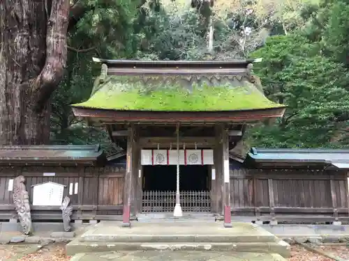 若狭姫神社（若狭彦神社下社）の本殿・本堂