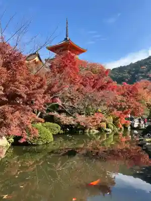 清水寺(京都府)