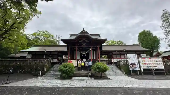 鹿児島神宮(鹿児島県)