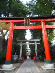 馬橋稲荷神社の鳥居