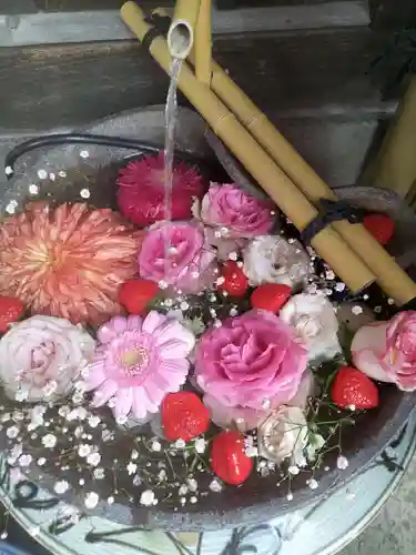 多賀神社の手水舎