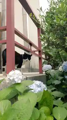 回向院(東京都)