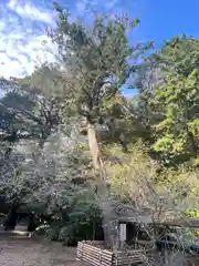 宮川熊野神社(千葉県)