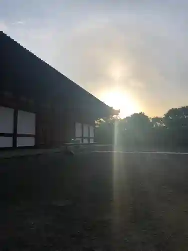 東寺（教王護国寺）の本殿・本堂